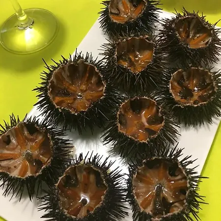 Modern In - 30 M² - Air Conditioning